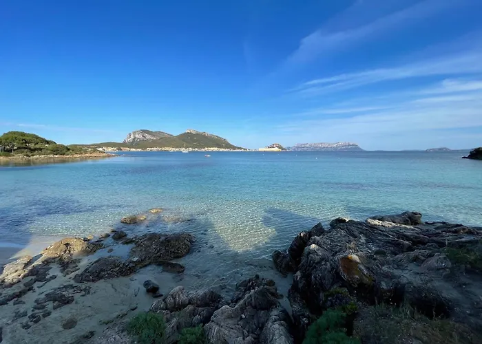 Comfort E Panorama Mozzafiato A 公寓